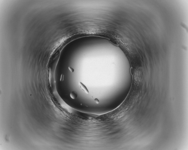 X0000097290540200802221314