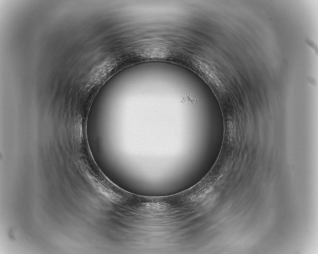X0000097290541200802221314