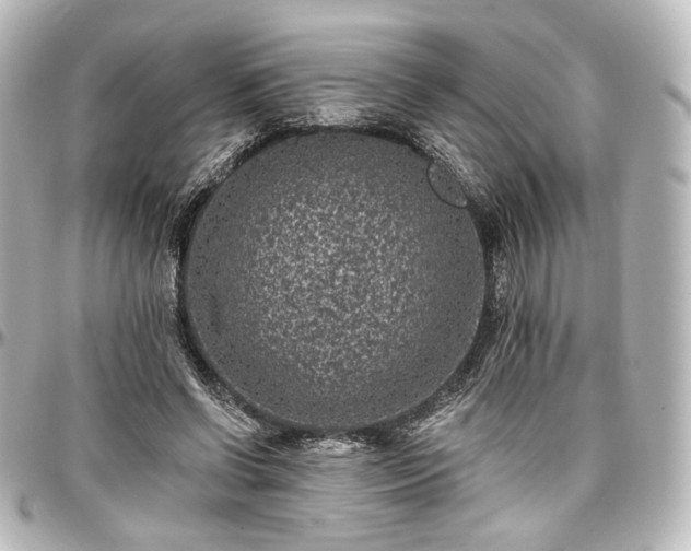 X0000097290542200802221314