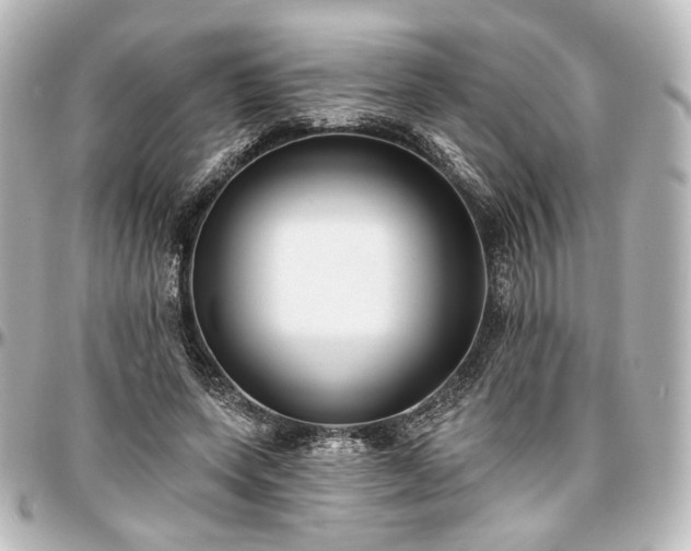 X0000097290543200802221314