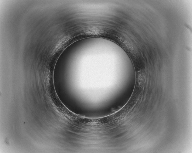 X0000097290544200802221314