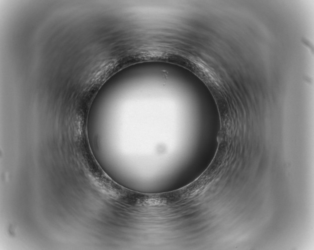X0000097290546200802221314