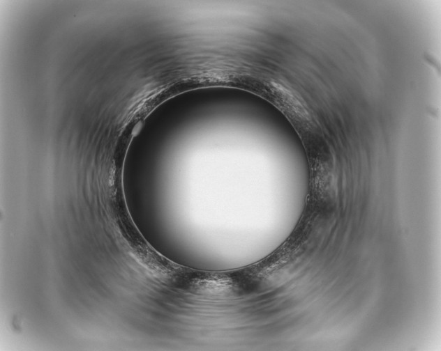 X0000097290548200802221314