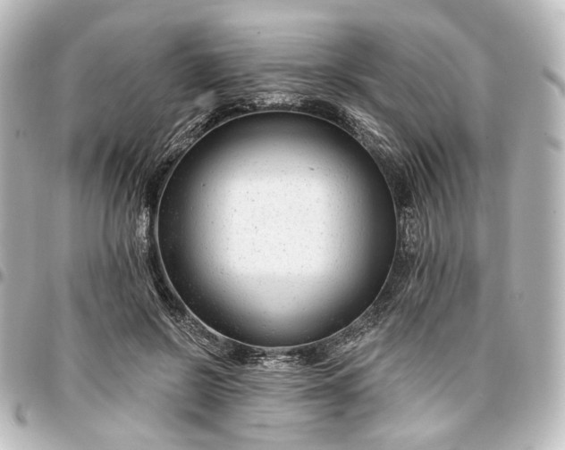 X0000097290550200802221314