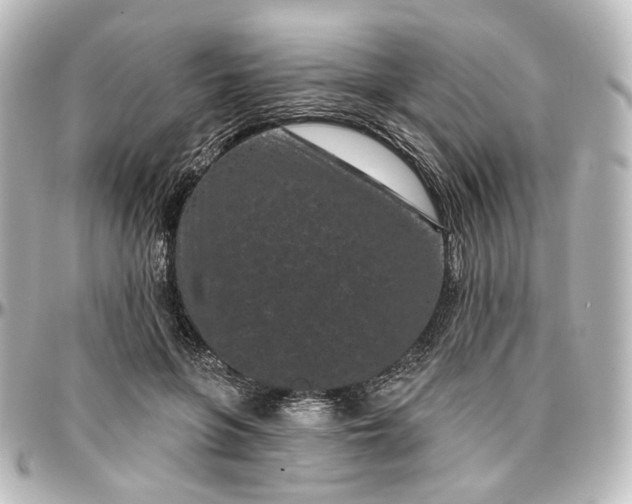 X0000097290551200802221314