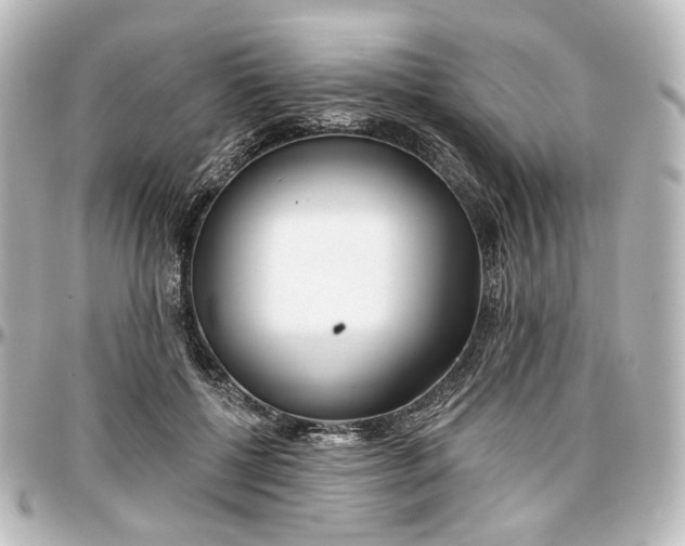 X0000097290552200802221314