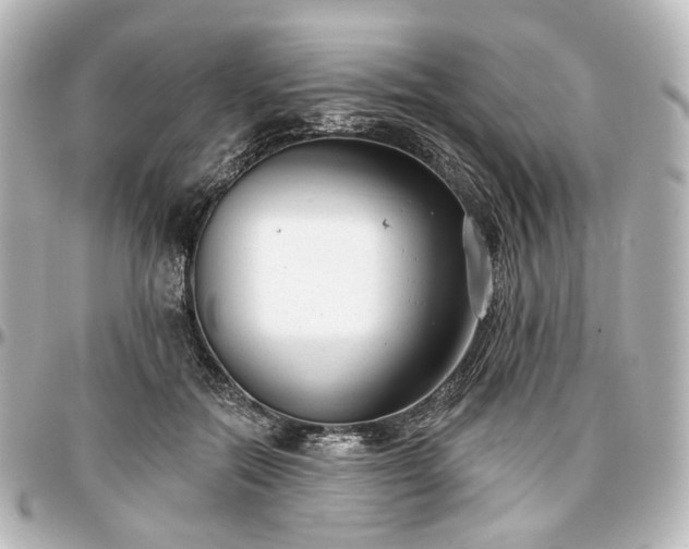 X0000097290554200802221314