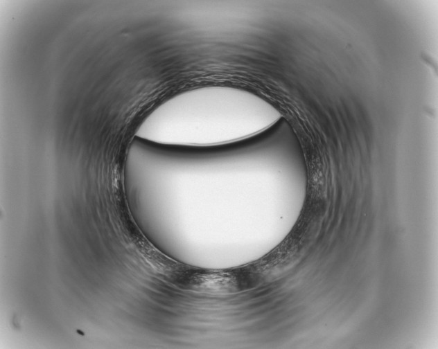 X0000097290555200802221314