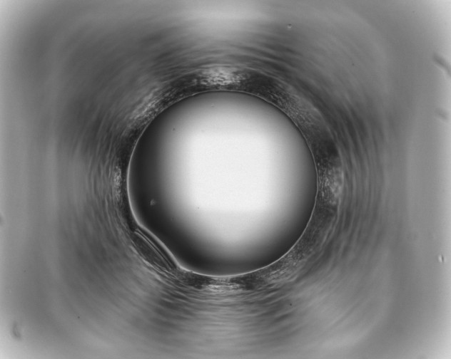 X0000097290556200802221314