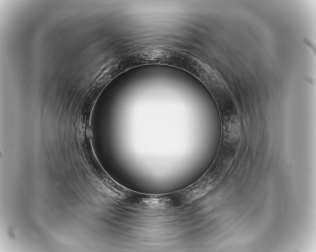 X0000097290558200802221314