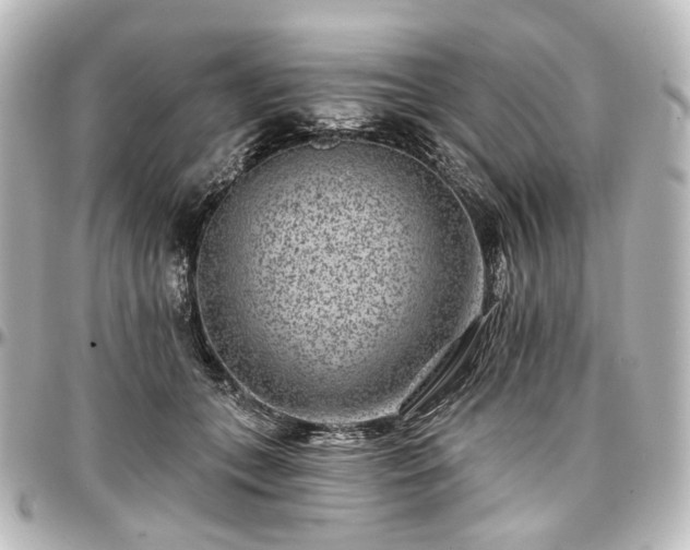 X0000097290559200802221314