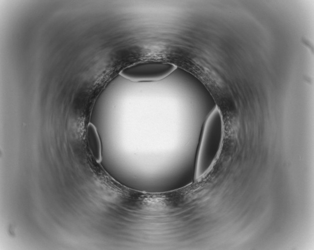 X0000097290560200802221314