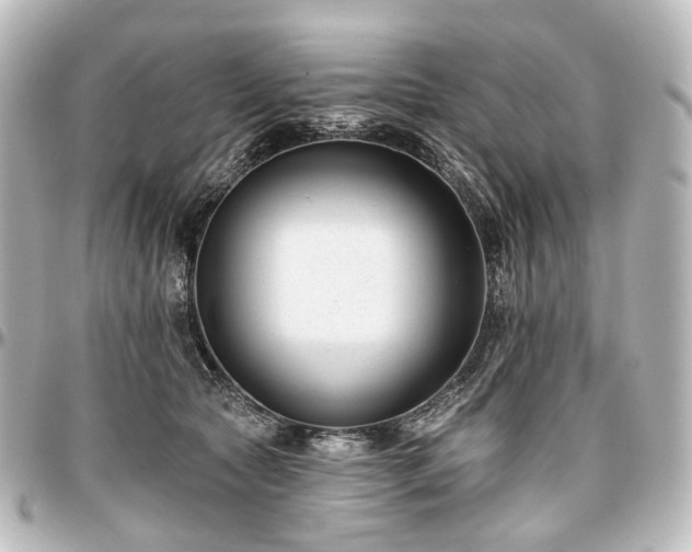 X0000097290561200802221314