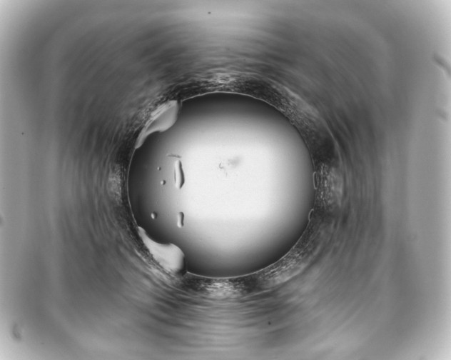 X0000097290562200802221314