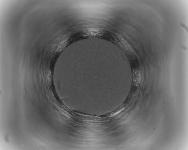X0000097290563200802221314