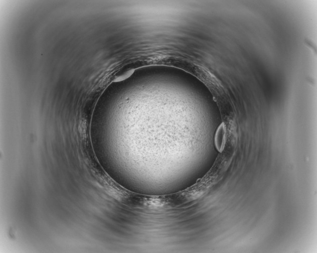 X0000097290565200802221314