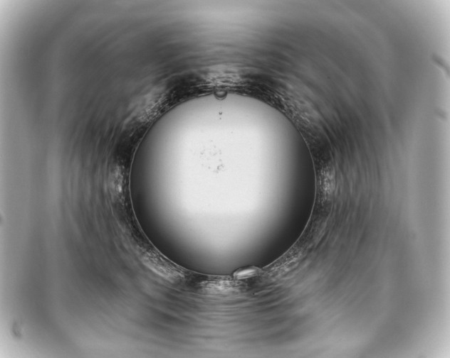 X0000097290567200802221314