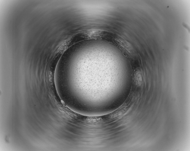 X0000097290571200802221314
