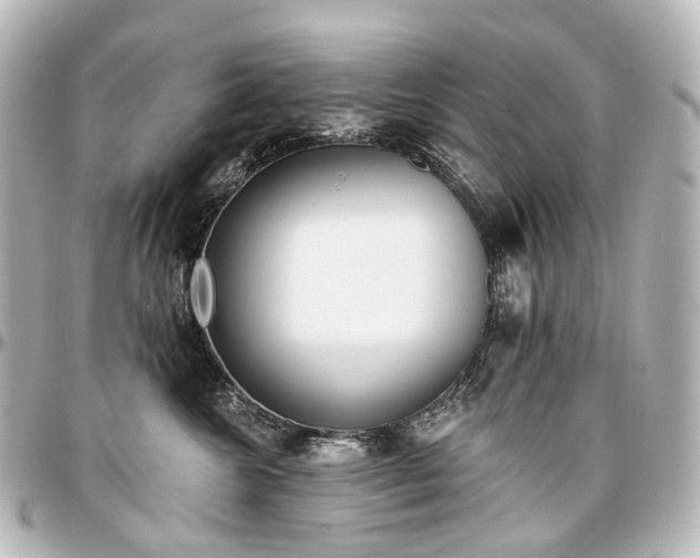 X0000097290572200802221314