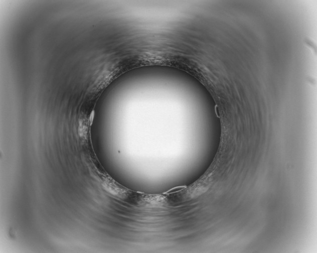 X0000097290576200802221314