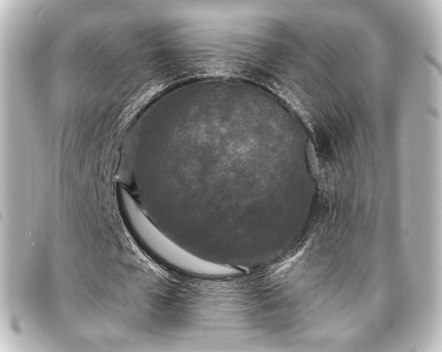 X0000097290577200802221314