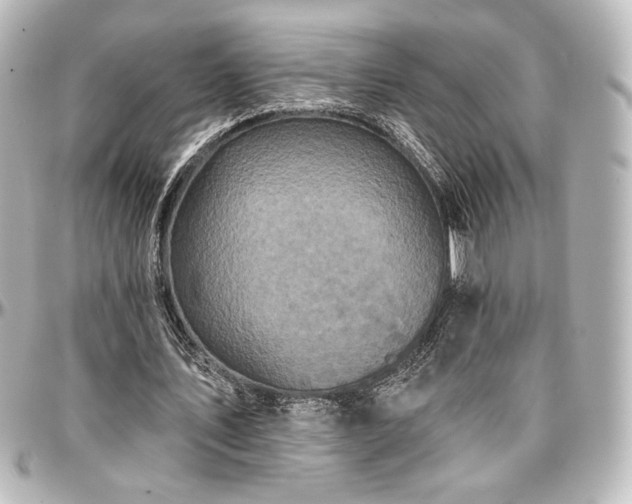 X0000097290579200802221314