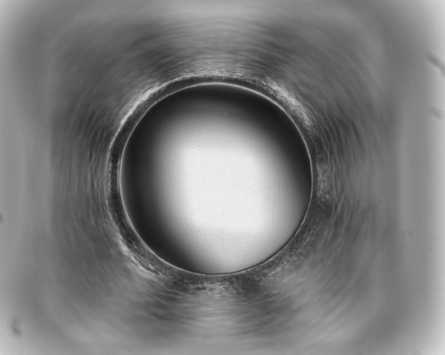 X0000097290580200802221314