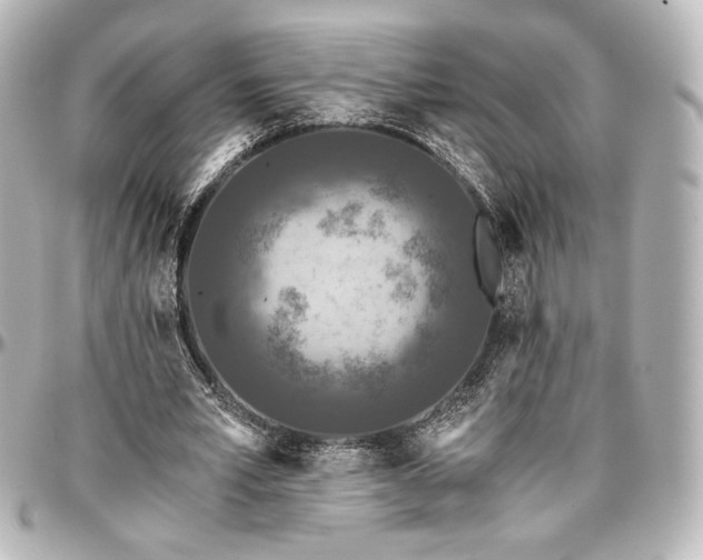 X0000097290581200802221314