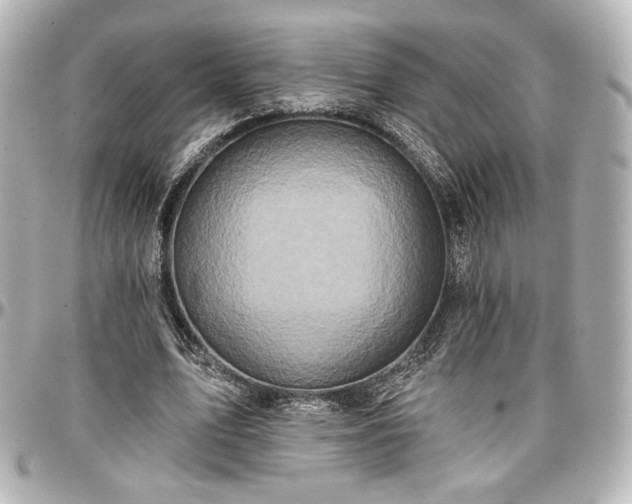 X0000097290583200802221314