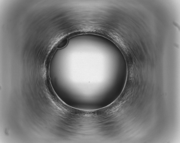 X0000097290584200802221314