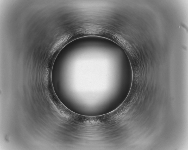 X0000097290586200802221314