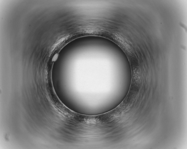 X0000097290587200802221314