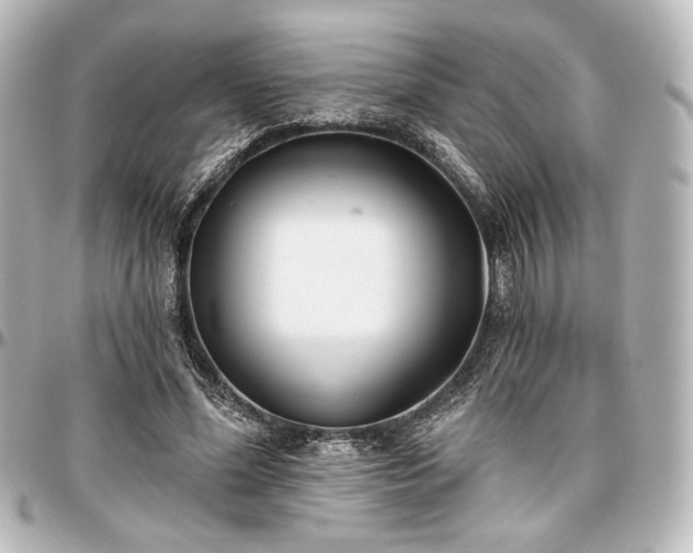 X0000097290588200802221314
