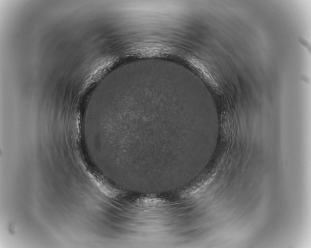 X0000097290590200802221314