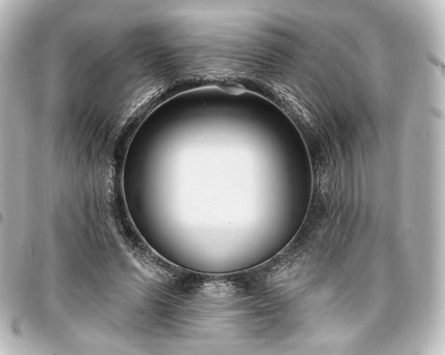 X0000097290591200802221314