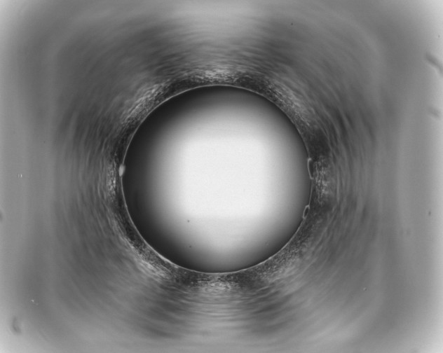 X0000097290593200802221314