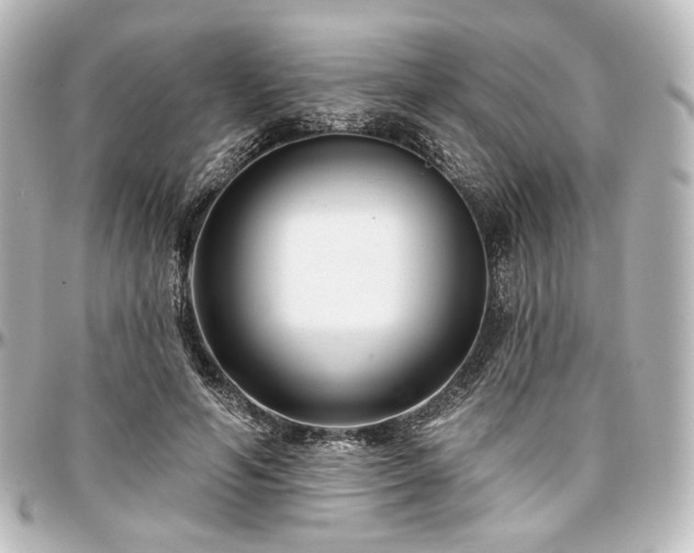 X0000097290594200802221314