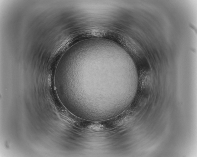 X0000097290595200802221314
