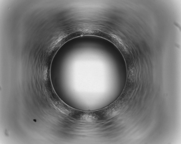 X0000097290596200802221314