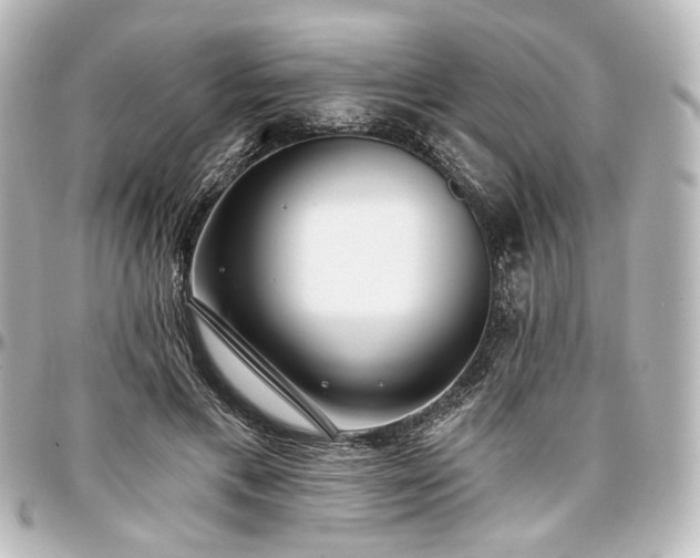 X0000097290597200802221314