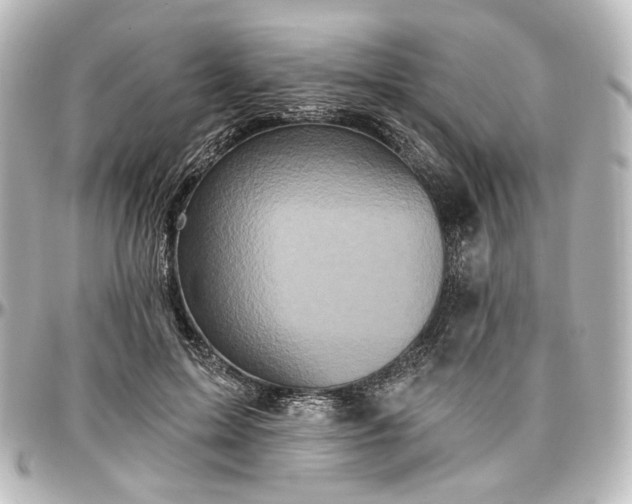 X0000097290599200802221314