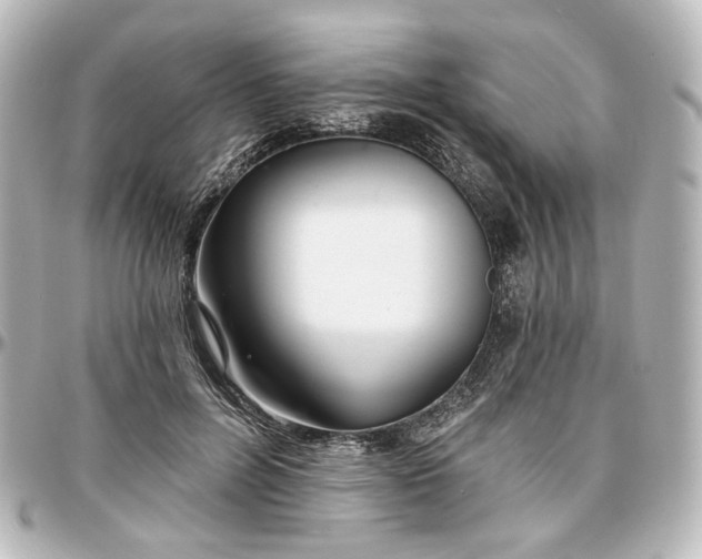 X0000097290600200802221314