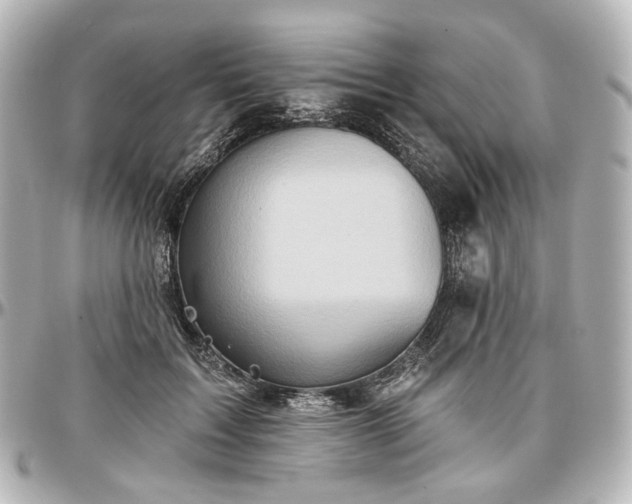X0000097290603200802221313