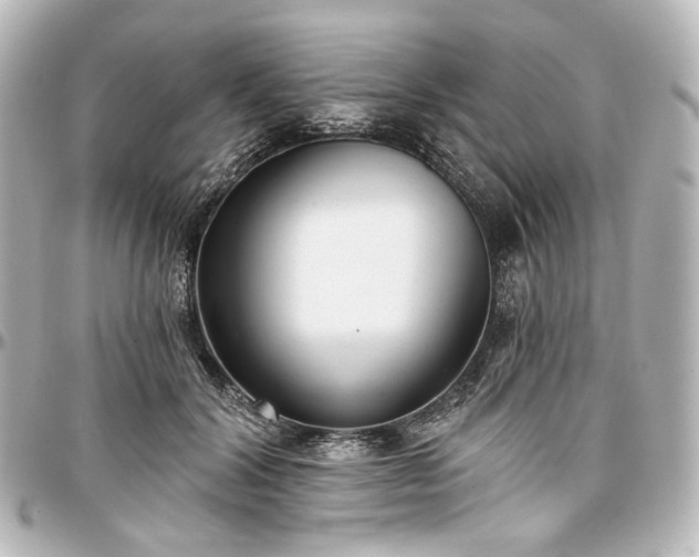 X0000097290604200802221313