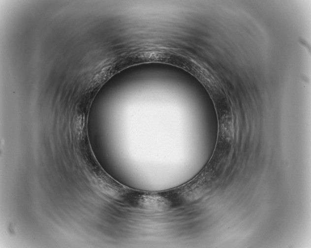 X0000097290605200802221313