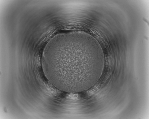 X0000097290606200802221313