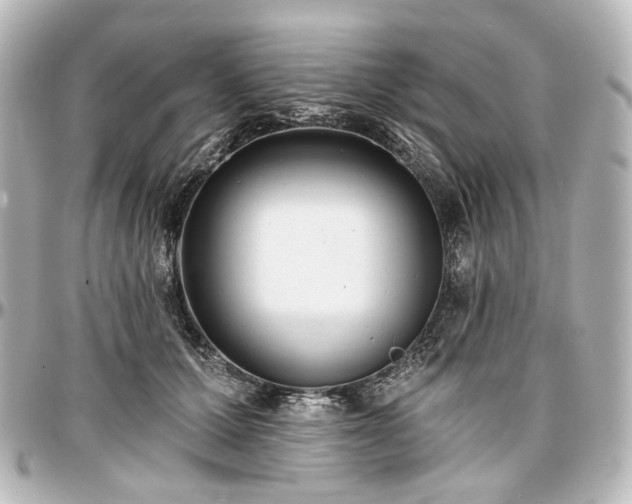 X0000097290607200802221313