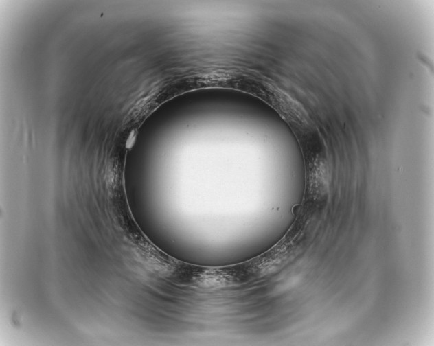 X0000097290608200802221313