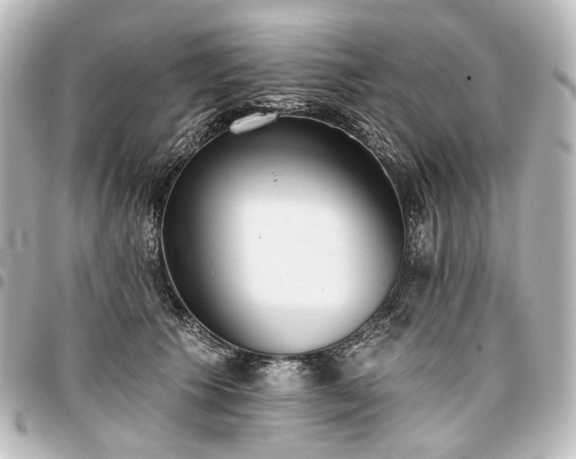 X0000097290609200802221313