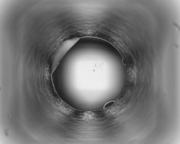 X0000097290612200802221313